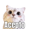 Acepto