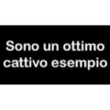 Sono un ottimo
cattivo esempio