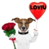 LOVIU