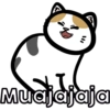 Gatitos riéndose 🐱😈 18