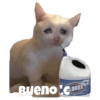 Gatitos #1 25
