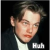 Leo Dicaprio Love 24
