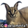 Memes Mix Supremo 😎👌1 12