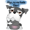 Schnauzer Navidad 9