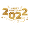 New Year 2022 🎉❄️ 5