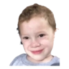 Gavin 14