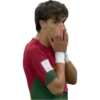 Copa do Mundo 2022 11