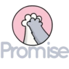 Promise
