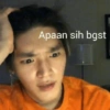Apaan sih bgst
