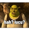 hah? lucu?