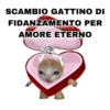 SCAMBIO GATTINO DI FIDANZAMENTO PER AMORE ETERNO