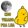KOO VIRADO PRA LUA