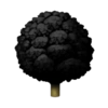 Black V2 17