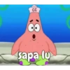 Petrik 16