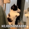 HIJOESUMADRE