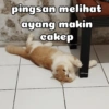 pingsan melihat ayang makin cakep