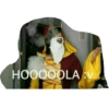 HOOOOOLA