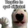 ️Memes Mixed 16