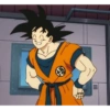 Goku 19