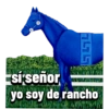 475
sí señor
yo soy de rancho