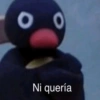 00
Ni quería