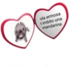 ola ermosa
timbito una
mandarina
