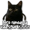 MEMES Random 2.0 🤣📱 7