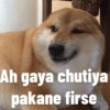 Ah gaya chutiya pakane firse