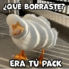 ¿QUÉ BORRASTE? ERA TÚ PACK
