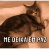 Caçambita reactions 6