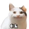 Ok