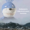 MONO COSTA 10