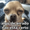 algo de errado
não está certo