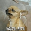 MÚSICAS DO MOMENTO 🎶💃🏻 6