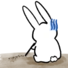 Bunny 9