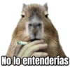 No lo entenderías
