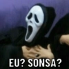 EU? SONSA?