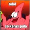 Petrik 30