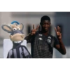Cavalinho do Botafogo 15