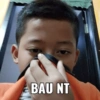 BAU NT