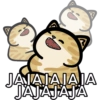 Gatitos riéndose 🐱😈 16