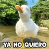 YA NO QUIERO