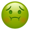 ✨Emojis iPhone✨ 27