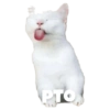 Gatitos #1 20