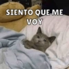 SIENTO QUE ME
VOY