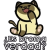 Gatitos riéndose 🐱😈 5