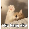 Kucing unyu💕 8