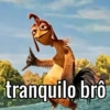tranquilo bro