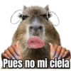 Pues no mi ciela