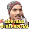 EVERGREEN MEMES 5